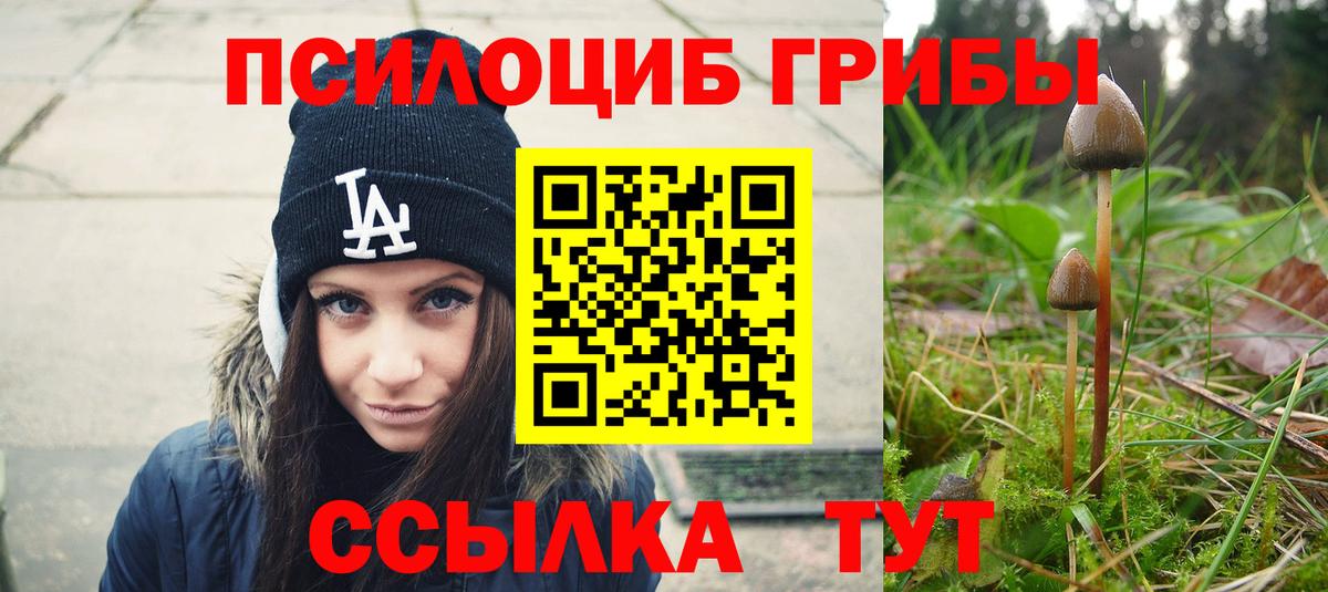 Галлюциногенные грибы Magic Shrooms  Вход с VPN  Амурск 