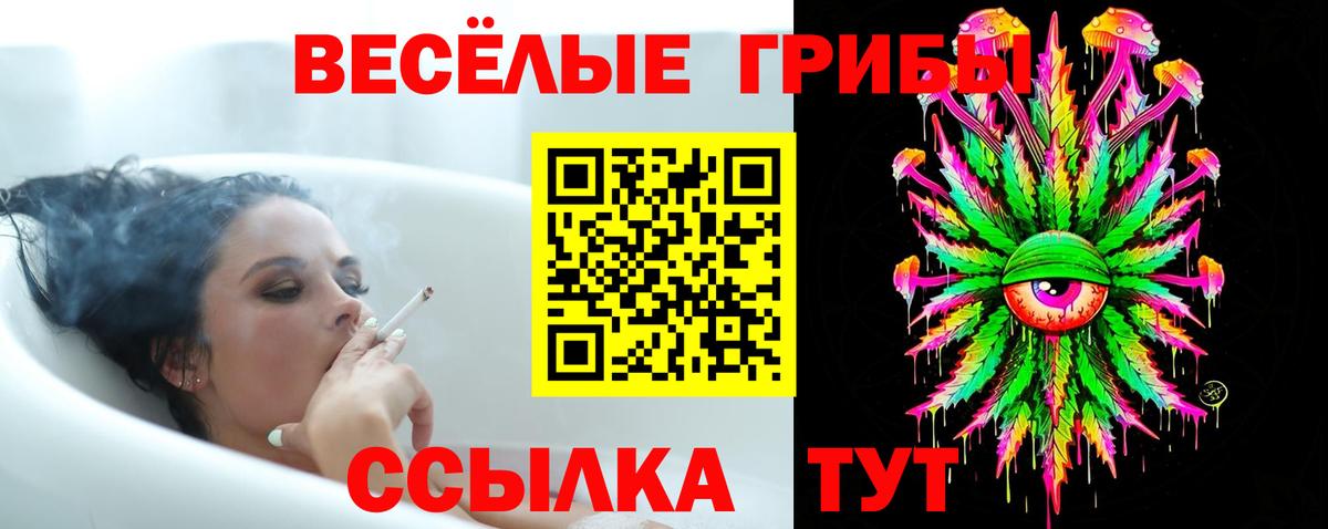 Галлюциногенные грибы Psilocybine cubensis Амурск